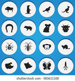 Set Of 16 Editable Nature Icons. Includes Symbols Such As Cockroach, Bison, Talisman And More. Can Be Used For Web, Mobile, UI And Infographic Design.