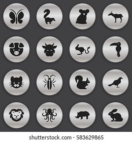 Set Of 16 Editable Nature Icons. Includes Symbols Such As Bunny, Australian Bear, Wildcat And More. Can Be Used For Web, Mobile, UI And Infographic Design.