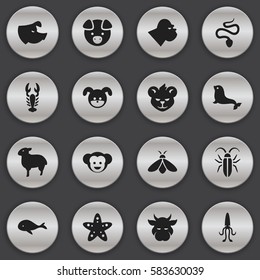 Set Of 16 Editable Nature Icons. Includes Symbols Such As Kine, Sow, Crawfish And More. Can Be Used For Web, Mobile, UI And Infographic Design.
