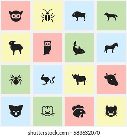 Set Of 16 Editable Nature Icons. Includes Symbols Such As Bison, Arachind, Ox And More. Can Be Used For Web, Mobile, UI And Infographic Design.