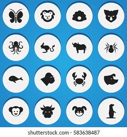 Set Of 16 Editable Nature Icons. Includes Symbols Such As Ox, Jerboa, Kine And More. Can Be Used For Web, Mobile, UI And Infographic Design.