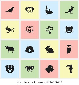 Set Of 16 Editable Nature Icons. Includes Symbols Such As Gull, Bunny, Chimpanzee And More. Can Be Used For Web, Mobile, UI And Infographic Design.