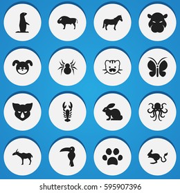 Set Of 16 Editable Nature Icons. Includes Symbols Such As Arachind, Groundhog, Rhinoceros And More. Can Be Used For Web, Mobile, UI And Infographic Design.