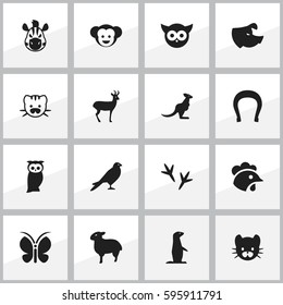 Set Of 16 Editable Nature Icons. Includes Symbols Such As Talisman, Owl, Sow And More. Can Be Used For Web, Mobile, UI And Infographic Design.