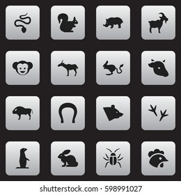 Set Of 16 Editable Nature Icons. Includes Symbols Such As Cockroach, Bison, Rhino And More. Can Be Used For Web, Mobile, UI And Infographic Design.