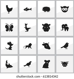 Set Of 16 Editable Nature Icons. Includes Symbols Such As Shark, Ox, Night Fowl And More. Can Be Used For Web, Mobile, UI And Infographic Design.