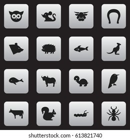 Set Of 16 Editable Nature Icons. Includes Symbols Such As Rat, Ox, Kine And More. Can Be Used For Web, Mobile, UI And Infographic Design.