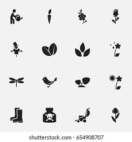Set Of 16 Editable Plant Icons. Includes Symbols Such As Daffodils, Venom, Sparrow And More. Can Be Used For Web, Mobile, UI And Infographic Design.