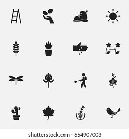 Set Of 16 Editable Planting Icons. Includes Symbols Such As Tulip, Plant Protection, Frond And More. Can Be Used For Web, Mobile, UI And Infographic Design.