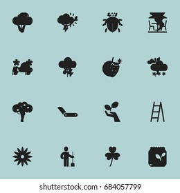 Set Of 16 Editable Planting Icons. Includes Symbols Such As Botany, Breeding, Strawberry And More. Can Be Used For Web, Mobile, UI And Infographic Design.