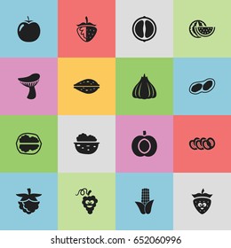 Set Of 16 Editable Vegetable Icons. Includes Symbols Such As Vegetable, Cep, Walnut And More. Can Be Used For Web, Mobile, UI And Infographic Design.