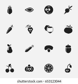 Set Of 16 Editable Vegetable Icons. Includes Symbols Such As Apricot, Pumpkin, Sweet Fruit And More. Can Be Used For Web, Mobile, UI And Infographic Design.