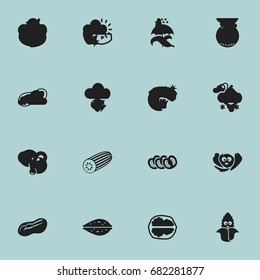 Set Of 16 Editable Vegetable Icons. Includes Symbols Such As Pistachio, Almond, Garnet And More. Can Be Used For Web, Mobile, UI And Infographic Design.