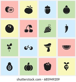 Set Of 16 Editable Vegetable Icons. Includes Symbols Such As Oak, Bulgarian Bell, Berry And More. Can Be Used For Web, Mobile, UI And Infographic Design.