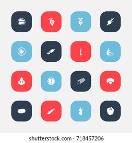 Set Of 16 Editable Vegetable Icons. Includes Symbols Such As Tater, Orange Slice, Pear Piece And More. Can Be Used For Web, Mobile, UI And Infographic Design.