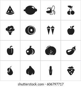 Set Of 16 Editable Vegetarian Icons. Includes Symbols Such As Seedless Grapes, Broccoli, Aubergine And More. Can Be Used For Web, Mobile, UI And Infographic Design.