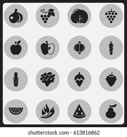 Set Of 16 Editable Vegetarian Icons. Includes Symbols Such As Sugar Basin, Onion, Bulb And More. Can Be Used For Web, Mobile, UI And Infographic Design.