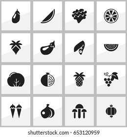 Set Of 16 Editable Vegetarian Icons. Includes Symbols Such As Aubergine, Cauliflower, Lettuce And More. Can Be Used For Web, Mobile, UI And Infographic Design.