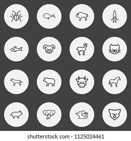 Set of 16 editable zoo icons line style. Includes symbols such as whale, elephants trunk, pussy and more. Can be used for web, mobile, UI and infographic design.