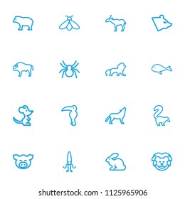 Set of 16 editable zoo icons line style. Includes symbols such as squid, gazelle, rat and more. Can be used for web, mobile, UI and infographic design.