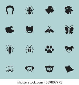 Set Of 16 Editable Zoo Icons. Includes Symbols Such As Cockroach, Baboon, Bug And More. Can Be Used For Web, Mobile, UI And Infographic Design.