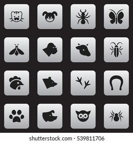 Set Of 16 Editable Zoo Icons. Includes Symbols Such As Chimpanzee, Sow, Talisman And More. Can Be Used For Web, Mobile, UI And Infographic Design.