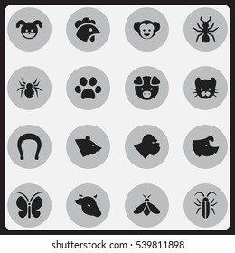 Set Of 16 Editable Zoo Icons. Includes Symbols Such As Arachind, Baboon, Hog And More. Can Be Used For Web, Mobile, UI And Infographic Design.