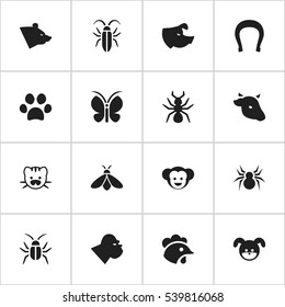 Set Of 16 Editable Zoo Icons. Includes Symbols Such As Forepaw, Bull, Rooster And More. Can Be Used For Web, Mobile, UI And Infographic Design.