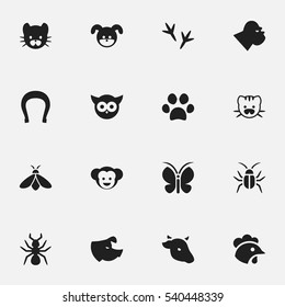 Set Of 16 Editable Zoo Icons. Includes Symbols Such As Forepaw, Rooster, Bedbug And More. Can Be Used For Web, Mobile, UI And Infographic Design.