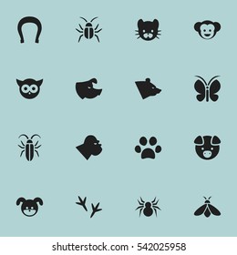 Set Of 16 Editable Zoo Icons. Includes Symbols Such As Footprint, Feline, Cockroach And More. Can Be Used For Web, Mobile, UI And Infographic Design.