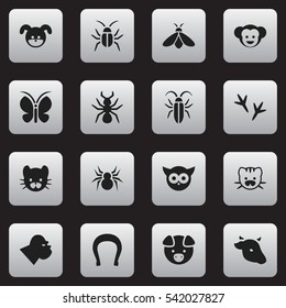 Set Of 16 Editable Zoo Icons. Includes Symbols Such As Arachind, Beast, Talisman And More. Can Be Used For Web, Mobile, UI And Infographic Design.