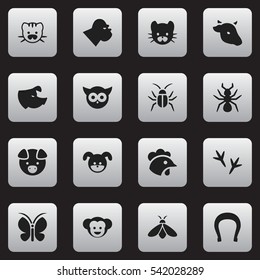 Set Of 16 Editable Zoo Icons. Includes Symbols Such As Moth, Baboon, Bedbug And More. Can Be Used For Web, Mobile, UI And Infographic Design.