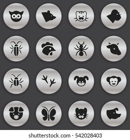 Set Of 16 Editable Zoo Icons. Includes Symbols Such As Cockroach, Bull, Puppy And More. Can Be Used For Web, Mobile, UI And Infographic Design.