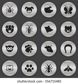Set Of 16 Editable Zoo Icons. Includes Symbols Such As Feline, Talisman, Grizzly And More. Can Be Used For Web, Mobile, UI And Infographic Design.