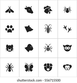Set Of 16 Editable Zoo Icons. Includes Symbols Such As Cockroach, Bedbug, Rooster And More. Can Be Used For Web, Mobile, UI And Infographic Design.
