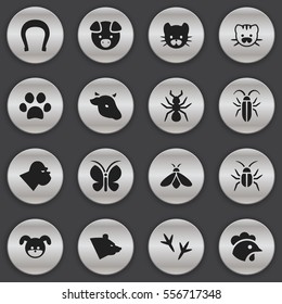 Set Of 16 Editable Zoo Icons. Includes Symbols Such As Feline, Bug, Bull And More. Can Be Used For Web, Mobile, UI And Infographic Design.