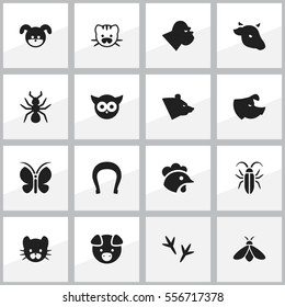 Set Of 16 Editable Zoo Icons. Includes Symbols Such As Chimpanzee, Bull, Hog And More. Can Be Used For Web, Mobile, UI And Infographic Design.