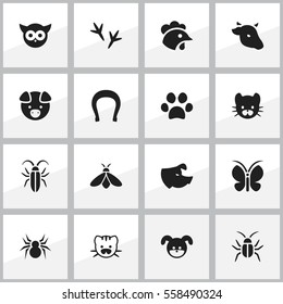 Set Of 16 Editable Zoo Icons. Includes Symbols Such As Footprint, Beast, Arachind And More. Can Be Used For Web, Mobile, UI And Infographic Design.