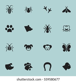 Set Of 16 Editable Zoo Icons. Includes Symbols Such As Beast, Talisman, Moth And More. Can Be Used For Web, Mobile, UI And Infographic Design.