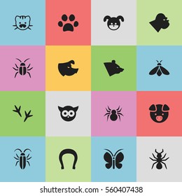 Set Of 16 Editable Zoo Icons. Includes Symbols Such As Bird, Arachind, Sow And More. Can Be Used For Web, Mobile, UI And Infographic Design.