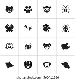Set Of 16 Editable Zoo Icons. Includes Symbols Such As Baboon, Bird, Rooster And More. Can Be Used For Web, Mobile, UI And Infographic Design.
