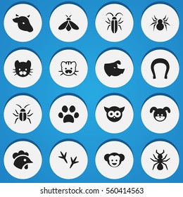 Set Of 16 Editable Zoo Icons. Includes Symbols Such As Arachind, Sow, Honey And More. Can Be Used For Web, Mobile, UI And Infographic Design.