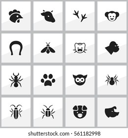 Set Of 16 Editable Zoo Icons. Includes Symbols Such As Bedbug, Cockroach, Baboon And More. Can Be Used For Web, Mobile, UI And Infographic Design.