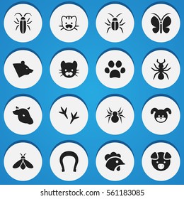 Set Of 16 Editable Zoo Icons. Includes Symbols Such As Talisman, Puppy, Grizzly And More. Can Be Used For Web, Mobile, UI And Infographic Design.