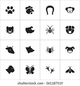 Set Of 16 Editable Zoo Icons. Includes Symbols Such As Rooster, Chimpanzee, Puppy And More. Can Be Used For Web, Mobile, UI And Infographic Design.