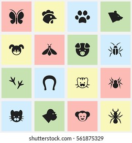 Set Of 16 Editable Zoo Icons. Includes Symbols Such As Grizzly, Honey, Bedbug And More. Can Be Used For Web, Mobile, UI And Infographic Design.