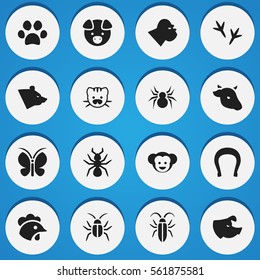 Set Of 16 Editable Zoo Icons. Includes Symbols Such As Bedbug, Grizzly, Arachind And More. Can Be Used For Web, Mobile, UI And Infographic Design.