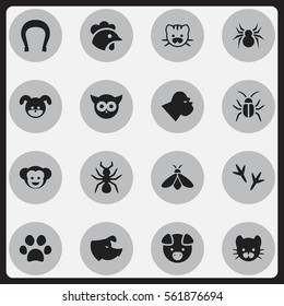 Set Of 16 Editable Zoo Icons. Includes Symbols Such As Hog, Arachind, Bedbug And More. Can Be Used For Web, Mobile, UI And Infographic Design.