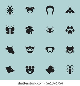 Set Of 16 Editable Zoo Icons. Includes Symbols Such As Bedbug, Hog, Arachind And More. Can Be Used For Web, Mobile, UI And Infographic Design.