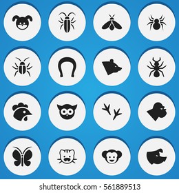 Set Of 16 Editable Zoo Icons. Includes Symbols Such As Grizzly, Footprint, Sow And More. Can Be Used For Web, Mobile, UI And Infographic Design.